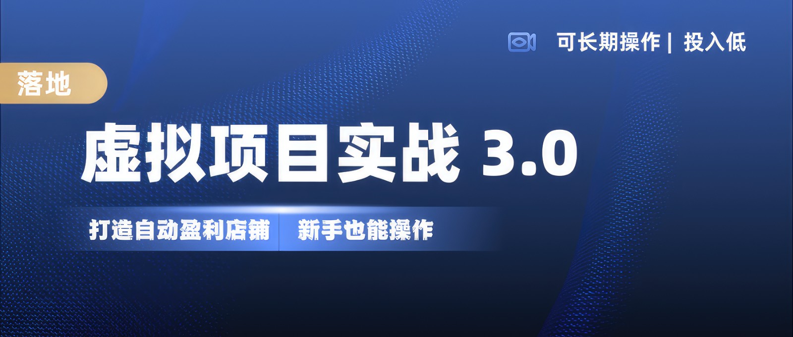 虚拟项目实操落地 3.0,新手轻松上手，单品月入1W+-蓝天项目网