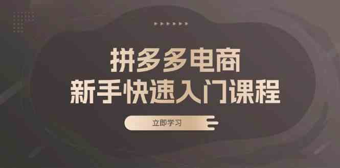 拼多多电商新手快速入门课程：涵盖基础、实战与选款，助力小白轻松上手-蓝天项目网