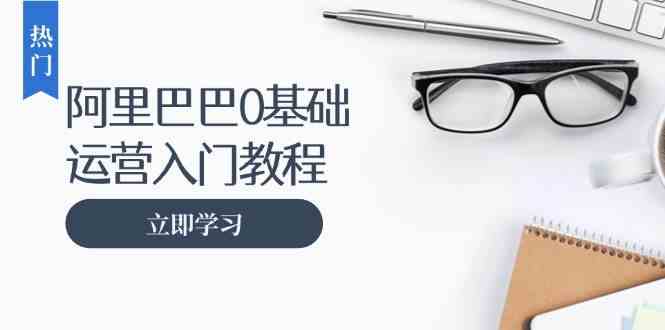 阿里巴巴运营零基础入门教程：涵盖开店、运营、推广，快速成为电商高手-蓝天项目网