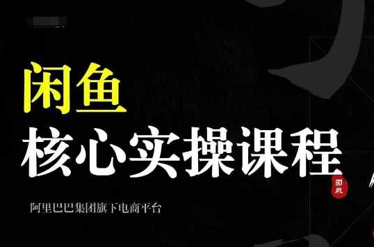 2024闲鱼核心实操课程，从养号、选品、发布、销售，教你做一个出单的闲鱼号-蓝天项目网