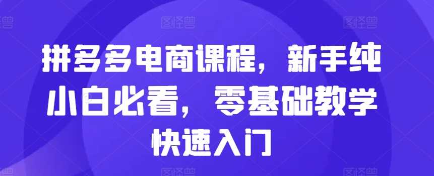 拼多多电商课程，新手纯小白必看，零基础教学快速入门-蓝天项目网