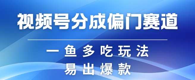 视频号创作者分成计划偏门类目，容易爆流，实拍内容简单易做【揭秘】-蓝天项目网