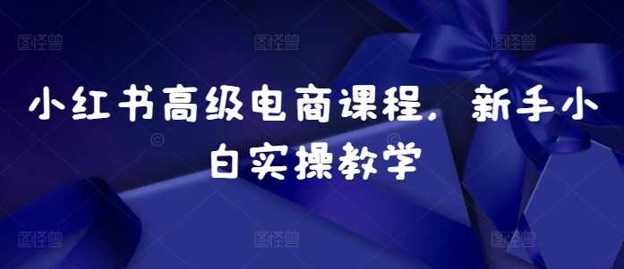 小红书高级电商课程，新手小白实操教学-蓝天项目网