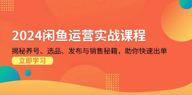 （13290期）2024闲鱼运营实战课程：揭秘养号、选品、发布与销售秘籍，助你快速出单-蓝天项目网