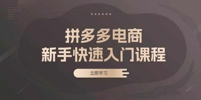 （13289期）拼多多电商新手快速入门课程：涵盖基础、实战与选款，助力小白轻松上手-蓝天项目网