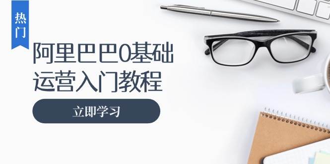 （13291期）阿里巴巴运营零基础入门教程：涵盖开店、运营、推广，快速成为电商高手-蓝天项目网