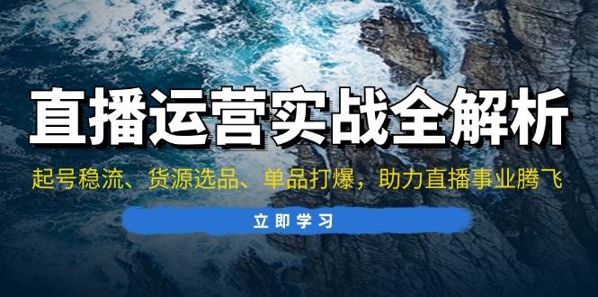 （13294期）直播运营实战全解析：起号稳流、货源选品、单品打爆，助力直播事业腾飞-蓝天项目网