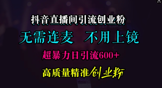 抖音直播间引流创业粉，无需连麦、无需上镜，超暴力日引流600+高质量精准创业粉【揭秘】-蓝天项目网