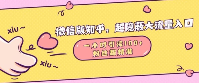 微信版知乎，超隐蔽流量入口1小时引流100人，粉丝质量超高【揭秘】-蓝天项目网