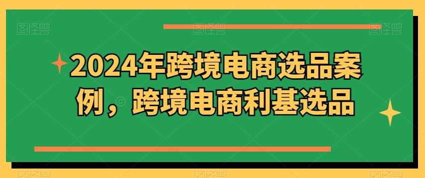 2024年跨境电商选品案例，跨境电商利基选品（更新11月）-蓝天项目网