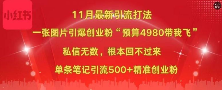 小红书11月最新图片打粉，一张图片引爆创业粉，“预算4980带我飞”，单条引流500+精准创业粉-蓝天项目网