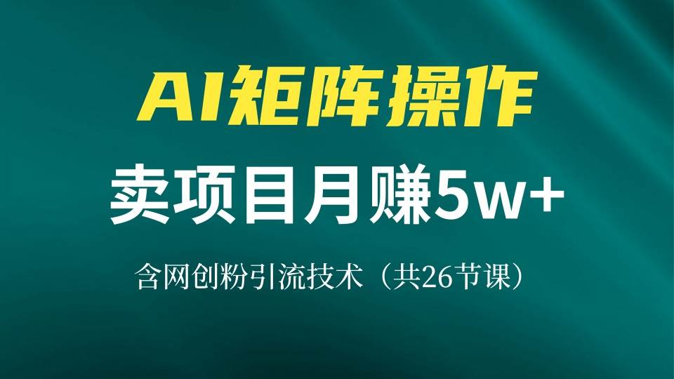 （13335期）网创IP打造课，借助AI卖项目月赚5万+，含引流技术（共26节课）-蓝天项目网