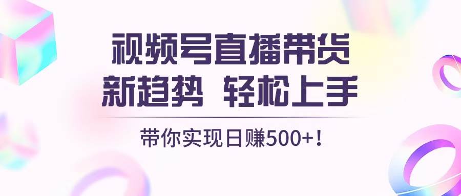 （13370期）视频号直播带货新趋势，轻松上手，带你实现日赚500+-蓝天项目网