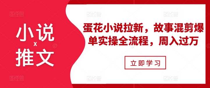 小说推文之蛋花小说拉新，故事混剪爆单实操全流程，周入过万-蓝天项目网