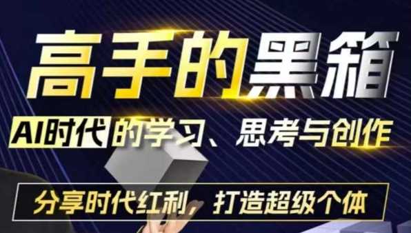 高手的黑箱：AI时代学习、思考与创作-分红时代红利，打造超级个体-蓝天项目网