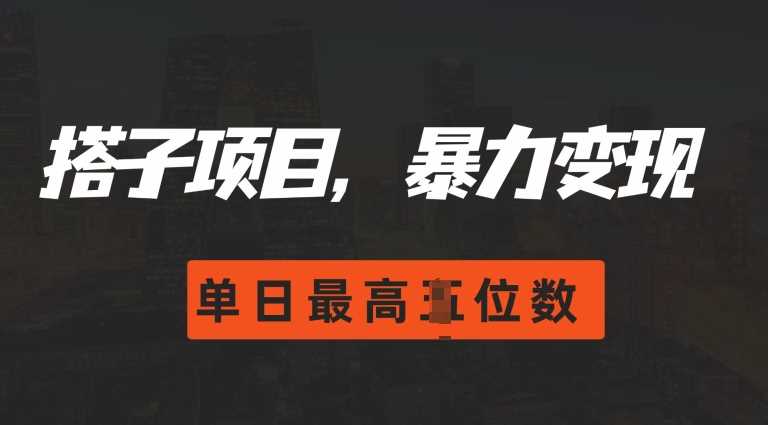 2024搭子玩法，0门槛，暴力变现，单日最高破四位数【揭秘】-蓝天项目网