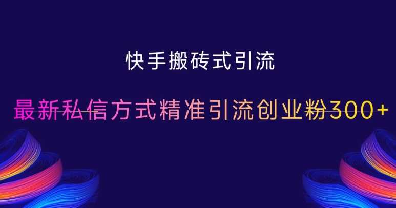 快手搬砖式引流，最新私信方式精准引流创业粉300+-蓝天项目网