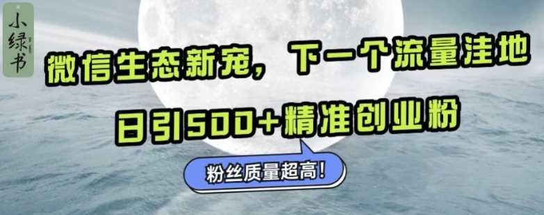 微信生态新宠小绿书：下一个流量洼地，日引500+精准创业粉，粉丝质量超高-蓝天项目网