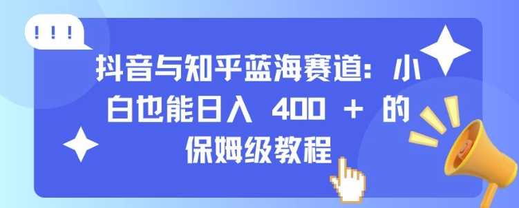 抖音与知乎蓝海赛道：小白也能日入 4张 的保姆级教程-蓝天项目网