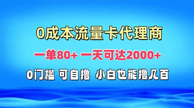 （13391期）免费流量卡代理一单80+ 一天可达2000+-蓝天项目网