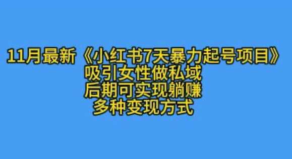 K总部落11月最新小红书7天暴力起号项目，吸引女性做私域【揭秘】-蓝天项目网