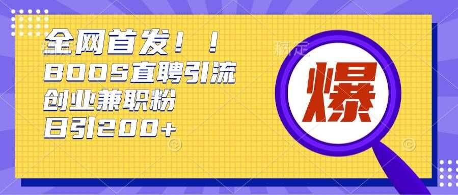 通过Boss直聘，每天轻松钓到200+多条创业大鱼的秘籍【揭秘】-蓝天项目网