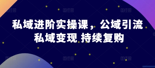 私域进阶实操课，公域引流 私域变现 持续复购-蓝天项目网