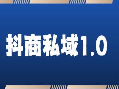 抖商服务私域1.0，抖音引流获客详细教学-蓝天项目网