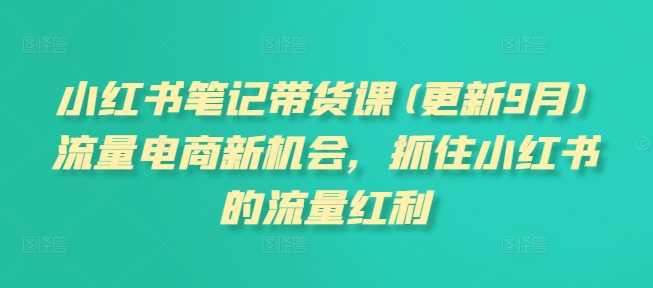 小红书笔记带货课(更新11月)流量电商新机会，抓住小红书的流量红利-蓝天项目网