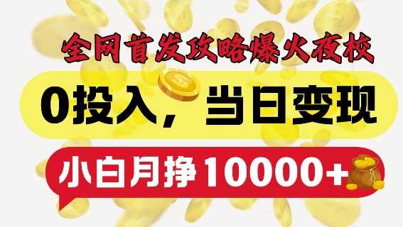 全网首发爆火夜校，0投入，当日变现，小白轻松月入1w+【揭秘】-蓝天项目网