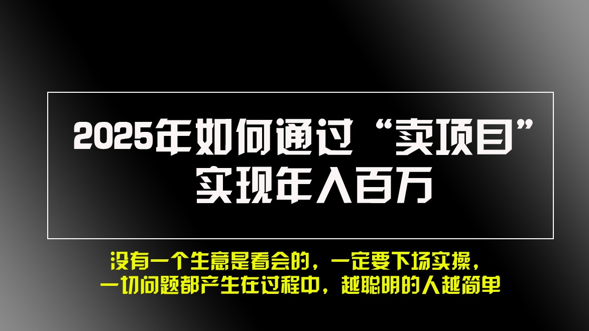 2025年如何通过“卖项目”实现年入百万-蓝天项目网