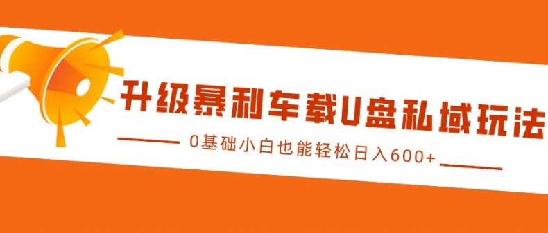 升级暴利车载U盘私域玩法，0基础小白也能轻松日入多张【揭秘】-蓝天项目网