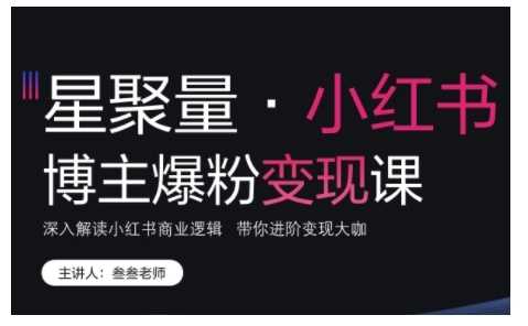 小红书博主爆粉变现课，深入解读小红书商业逻辑，带你进阶变现大咖-蓝天项目网