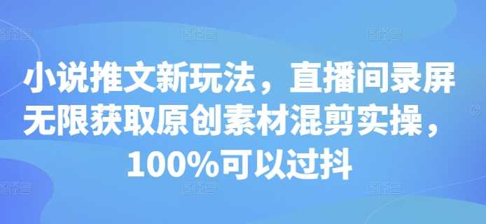 小说推文新玩法，直播间录屏无限获取原创素材混剪实操，100%可以过抖-蓝天项目网