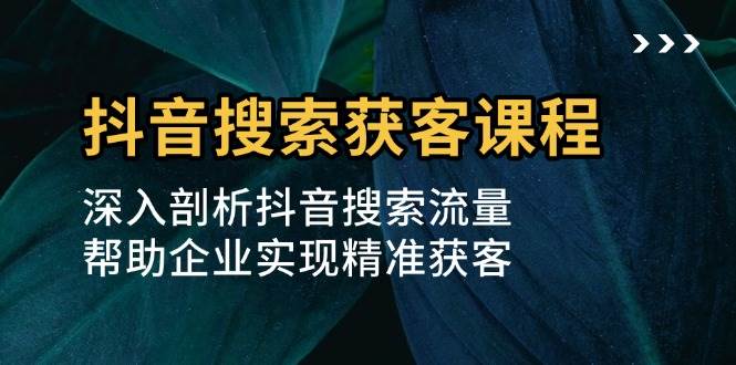 抖音搜索获客课程：深入剖析抖音搜索流量，帮助企业实现精准获客-蓝天项目网