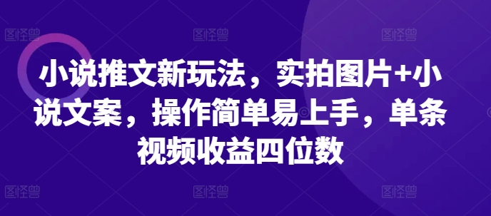 小说推文新玩法，实拍图片+小说文案，操作简单易上手，单条视频收益四位数-蓝天项目网