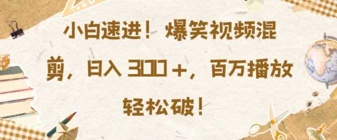 小白速进，爆笑视频混剪，日入3张，百万播放轻松破【揭秘】-蓝天项目网