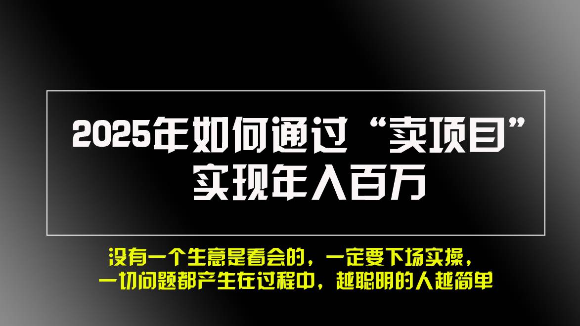 （13468期）2025年如何通过“卖项目”实现年入百万，做网赚必看！！-蓝天项目网