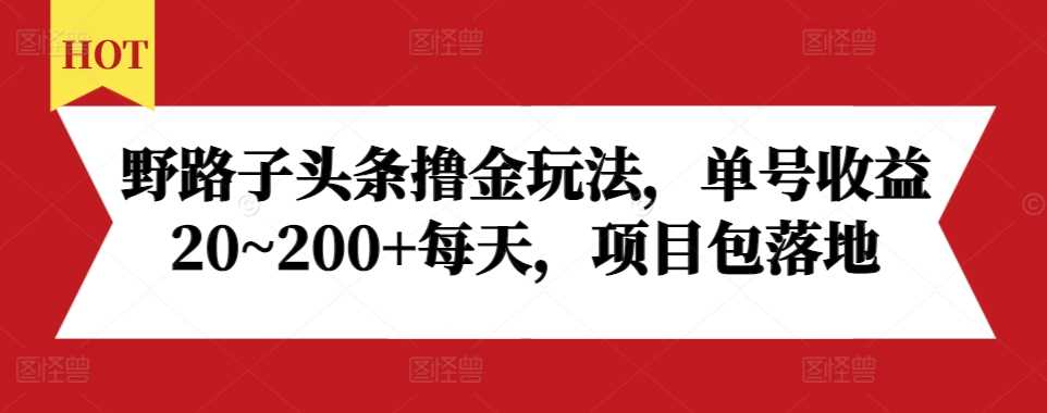 野路子头条撸金玩法，单号收益20~200+每天，项目包落地-蓝天项目网