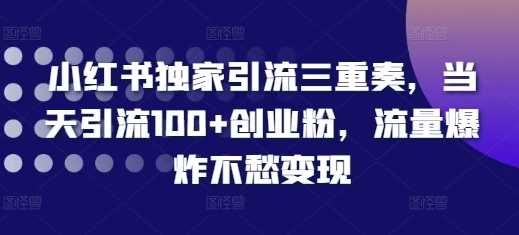 小红书独家引流三重奏，当天引流100+创业粉，流量爆炸不愁变现【揭秘】-蓝天项目网