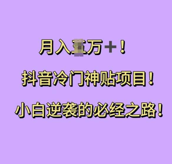 抖音冷门神贴项目，小白逆袭的必经之路，月入过W【揭秘】-蓝天项目网