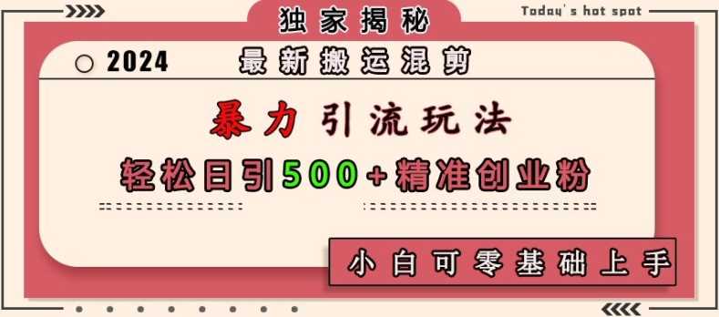 最新搬运混剪暴力引流玩法，轻松日引500+精准创业粉，小白可零基础上手-蓝天项目网