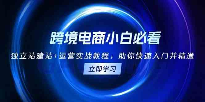 跨境电商小白必看！独立站建站+运营实战教程，助你快速入门并精通-蓝天项目网