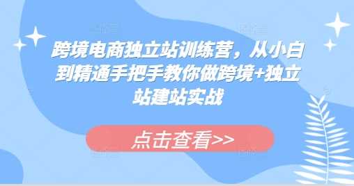 跨境电商独立站训练营，从小白到精通手把手教你做跨境+独立站建站实战-蓝天项目网