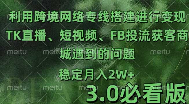 利用跨境电商网络及搭建TK直播、短视频、FB投流获客以及商城遇到的问题进行变现3.0必看版【揭秘】-蓝天项目网