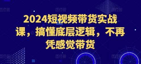 2024短视频带货实战课，搞懂底层逻辑，不再凭感觉带货-蓝天项目网