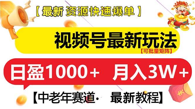 （13530期）视频号最新玩法 中老年赛道 月入3W+-蓝天项目网