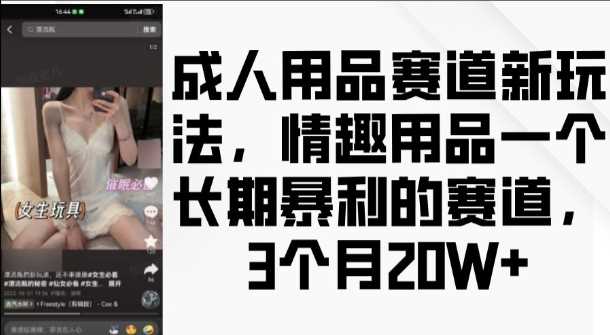 成人用品赛道新玩法，情趣用品一个长期暴利的赛道，3个月收益20个【揭秘】-蓝天项目网