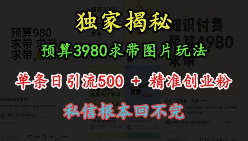 预算3980求带 图片玩法，单条日引流500+精准创业粉，私信根本回不完-蓝天项目网