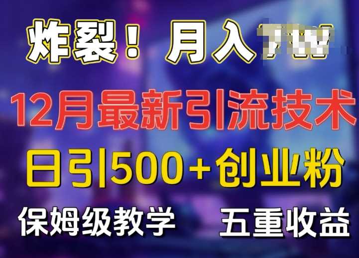 炸裂!揭秘12月最新日引流500+精准创业粉，多重收益保姆级教学-蓝天项目网